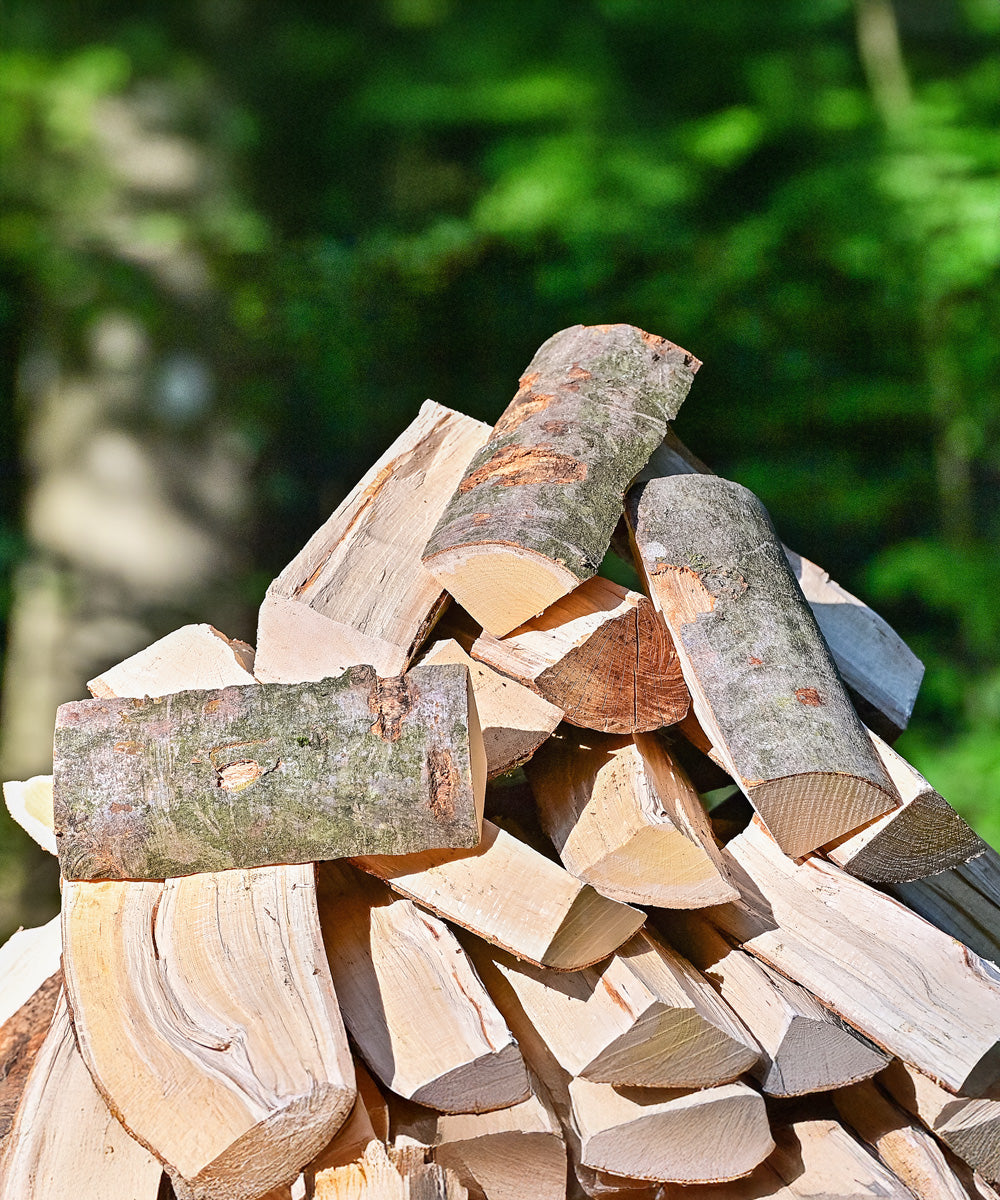 Gestapeltes, gespaltenes Buchenbrennholz in einem sonnigen Waldstück, im Vordergrund gut sichtbare Holzscheite mit Rinde.