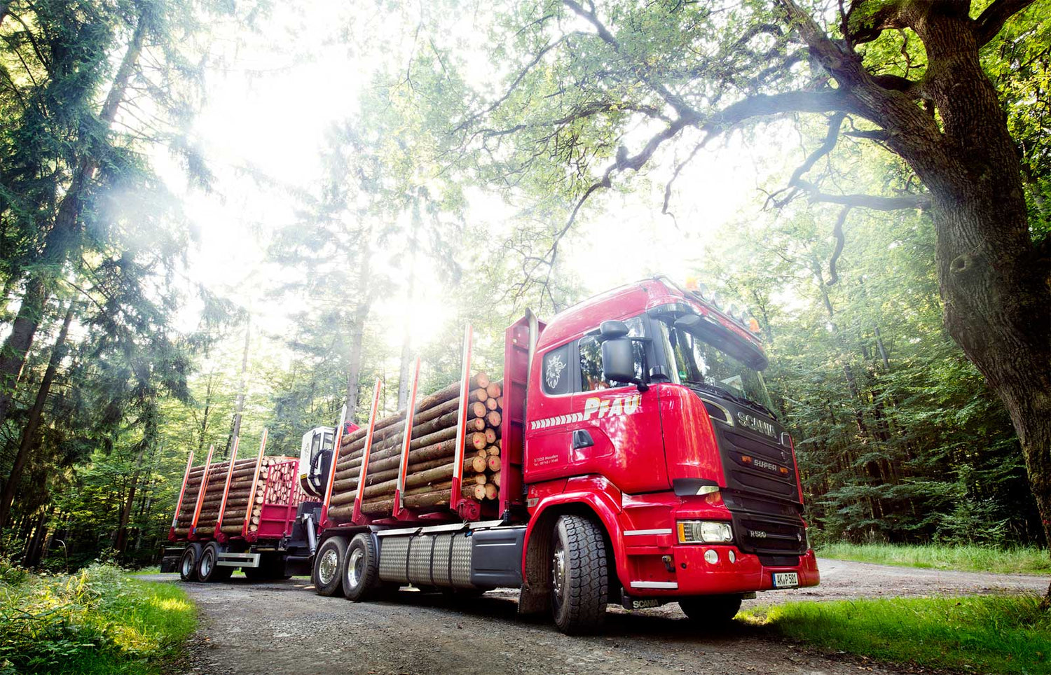 Ein roter Holztransporter beladen mit langen Baumstämmen steht auf einem Waldweg im Sonnenlicht.